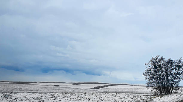 istock Sowing time in Ukraine during the war. Preparing fields for sowing grain. Blue sky, plowed land. terror. 1391899922