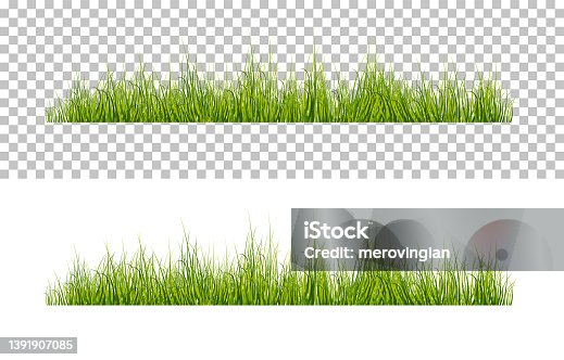 istock Vector bright green realistic grass isolated on transparent background 1391907085