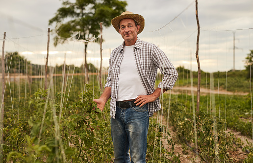 Senior farmer standing arms crossed in field.