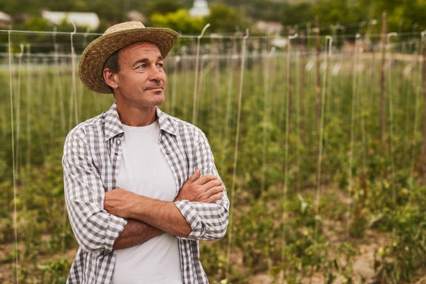 istock Male farmer in field in countryside 1391908385