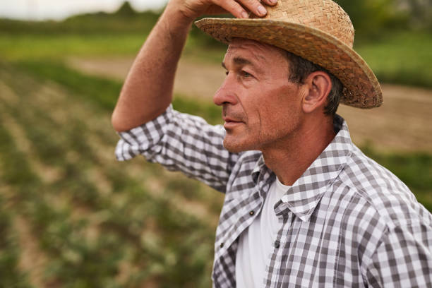 istock Serious mature farmer standing in field 1391908404