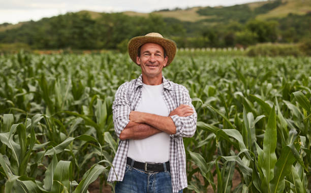 Confident mature farmer in agricultural field stock photo