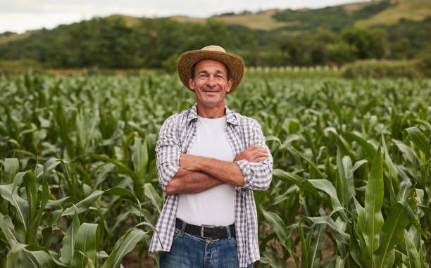 Confident mature farmer in agricultural field Positive middle aged man with crossed arms smiling and looking at camera while standing in corn field on farm in countryside Farmer stock pictures, royalty-free photos & images
