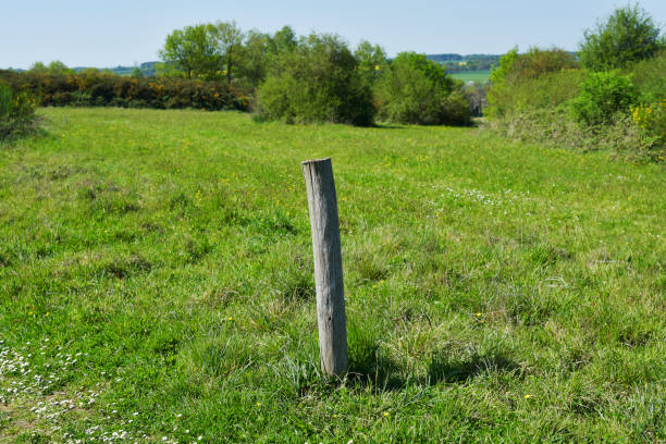 istock Saint-Just - wooden stake fence 1391908603
