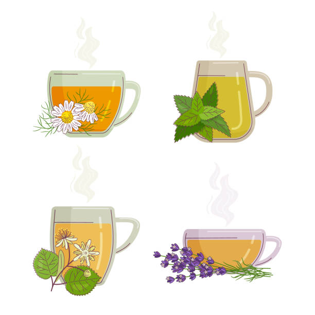 ilustrações, clipart, desenhos animados e ícones de chá sedativo de ervas - herbal tea illustrations