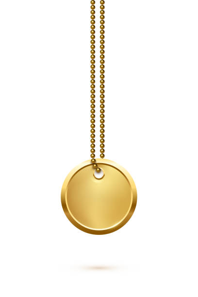 Empty round golden military or dogs badge hanging on steel chain. Vector army object isolated on white background. Pendant with blank space for identification, blood type in case of death and injury. Empty round golden military or dogs badge hanging on steel chain. Vector army object isolated on white background. Pendant with blank space for identification, blood type in case of death and injury vietnam dog tags stock illustrations