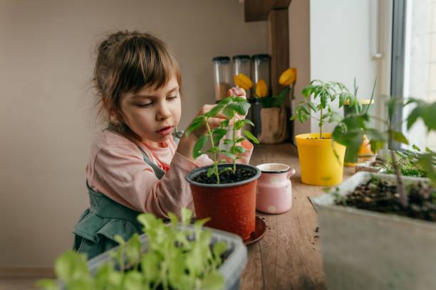 istock Home gardening with kids on the kitchen windowsill 1391912692