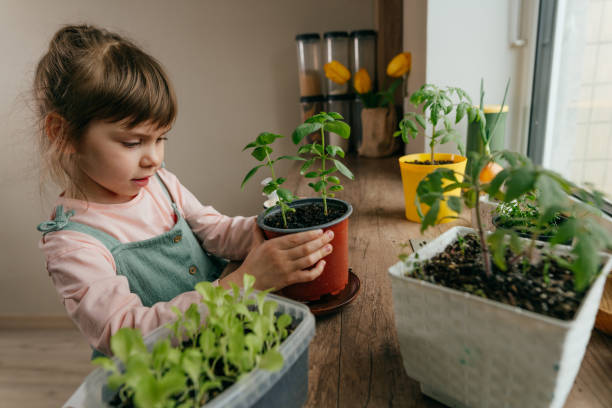 istock Home gardening with kids on the kitchen windowsill 1391912703