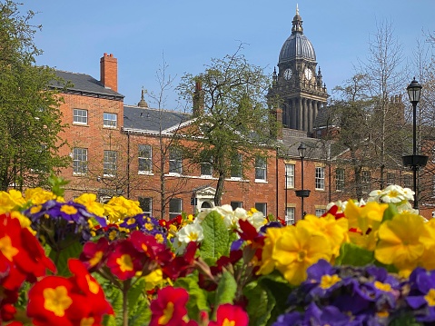 Leeds Town Hall and Park Square with springtime flowers.