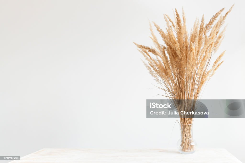Interior in Scandinavian style with a wooden table and a glass vase with dry plants. Mockup for copy space, minimal composition.\ Interior in Scandinavian style with a wooden table and a glass vase with dry plants. Mockup for copy space, minimal composition. Boho Stock Photo