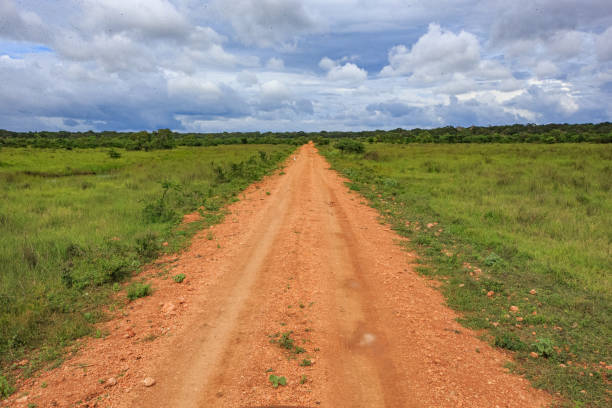 Safari in Wilpattu National Park, Sri Lanka stock photo