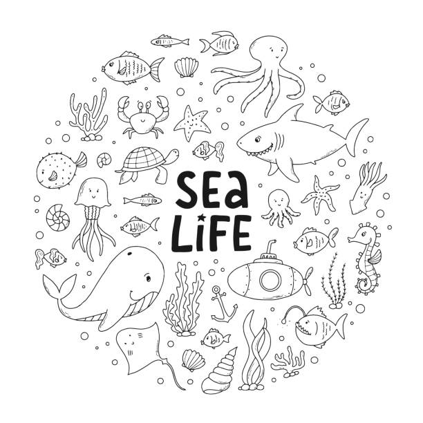 sea life hand drawn doodles, clipart set of line art hand drawn doodles isolated on white background. Good for coloring pages, prints, cards, posters, scrapbooking, stickers, etc. EPS 10 fish clip art black and white stock illustrations