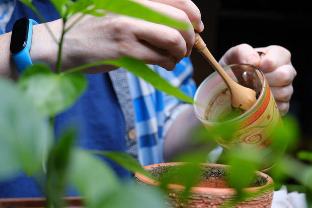 istock Person is using kitchen scraps as plant fertilizer 1391921977