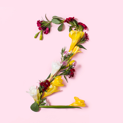 Number 2 made of natural flowers, petals and leaves. Floral font concept. Collection of letters and numbers. Spring, summer and holidays creative idea.
