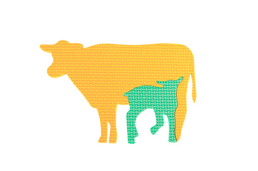 Image of colored Cow and calf, toy on the white background