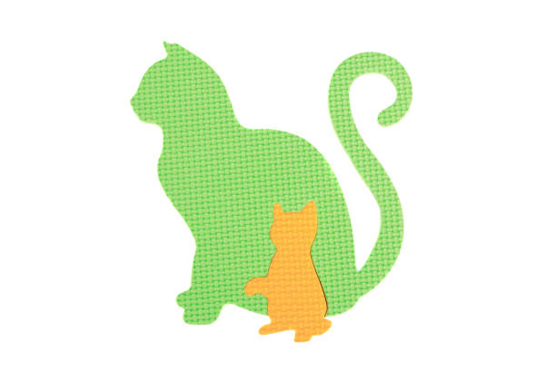 Image of colored number , isolated on the white background