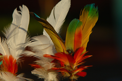 Indigenous headdress made of multi coloured bird feathers by members of Brazilian tribe in the Amazon.