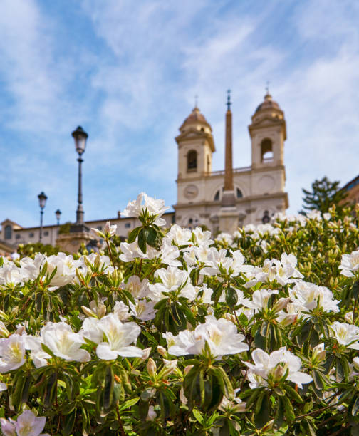 istock Azaleas at the Spanish Steps, Rome Italy 1391928013