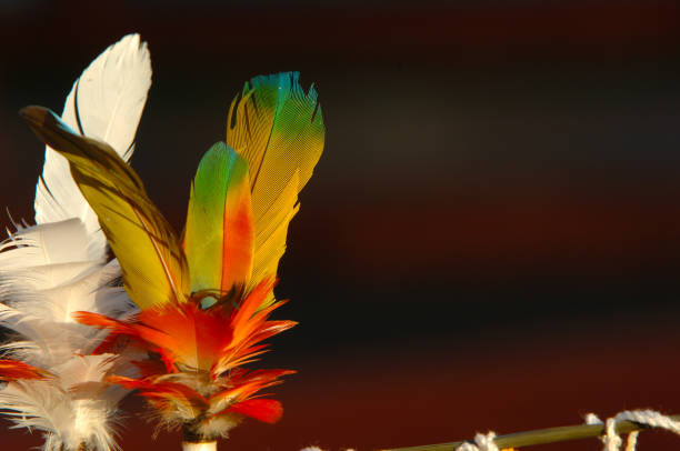 adorno hecho de coloridas plumas de pájaro - indigenous peoples day fotografías e imágenes de stock