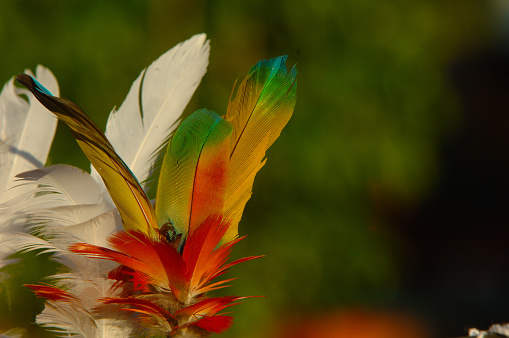 Indigenous headdress made of multi coloured bird feathers by members of Brazilian tribe in the Amazon.