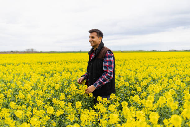 istock Young farmer working in rapeseed field 1391928529