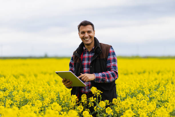 Modern young farmer with a tablet inspecting a rapeseed field Modern agriculture.  Farmer holding a tablet in a field. Modern technology in agriculture. Modern farming. Modern farming technology. canola growth stock pictures, royalty-free photos & images