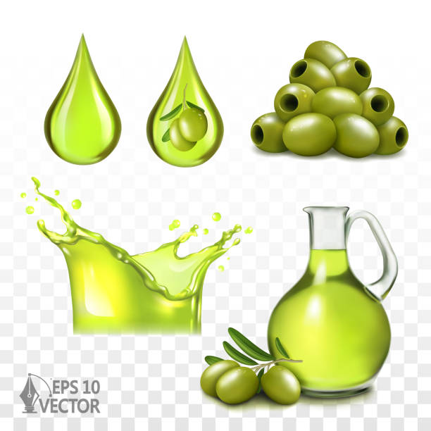 illustrazioni stock, clip art, cartoni animati e icone di tendenza di brocca realistica di olio d'oliva, olive verdi su un ramo, spruzzi e gocce di olio, cibo sano e ingredienti cosmetici naturali, illustrazione vettoriale realistica 3d - olive tree oil industry cooking oil