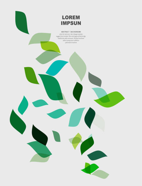 illustrazioni stock, clip art, cartoni animati e icone di tendenza di minimalismo astratto colore foglia sfondo sfondo elemento di design - grass family vertical simplicity plant