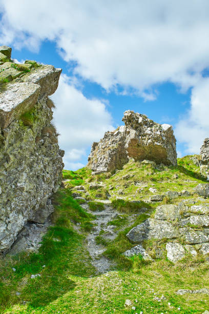 ruiny rocka zamku dunamase to zabytkowy budynek, który znajduje się w portlaoise w irlandii. miejsce podróży punkt orientacyjny. - malahide zdjęcia i obrazy z banku zdjęć