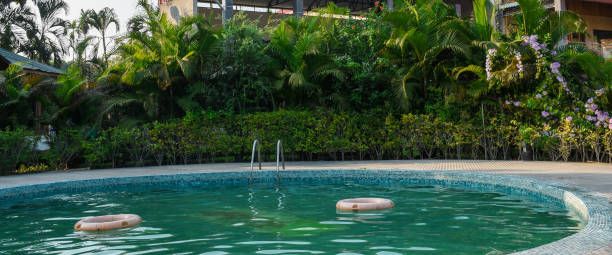 istock Green and clear water swimming pool with lush greenery 1391938722