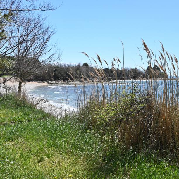 istock By the sea bay 1391939597