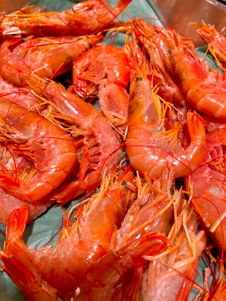 istock Fresh shrimps on seafood market 1391940907