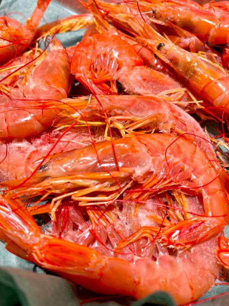 istock Fresh shrimps on seafood market 1391941442