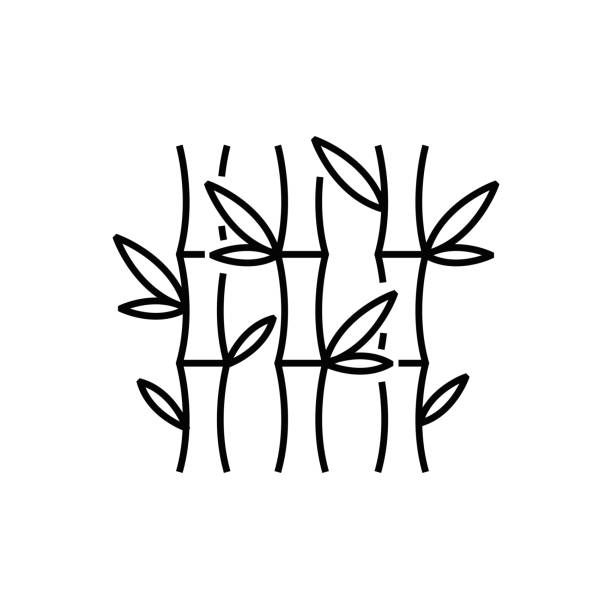Bamboo line icon vector art illustration