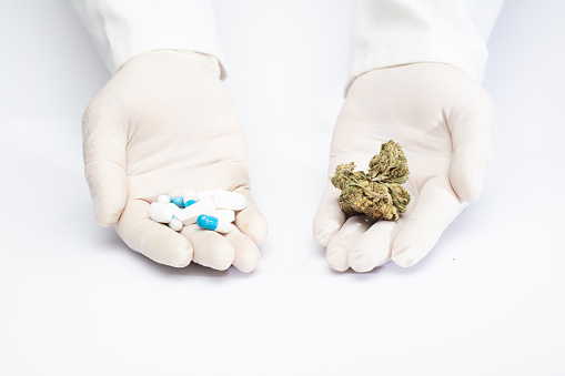 pharmacological medicine in the hands of a doctor and medical marijuana, choice, medicine balance