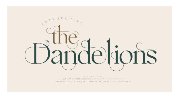 Luxury wedding alphabet letters font with tails. Typography elegant classic lettering serif fonts and number decorative vintage retro concept for logo branding. vector illustration Luxury wedding alphabet letters font with tails. Typography elegant classic lettering serif fonts and number decorative vintage retro concept for logo branding. vector illustration calligraphy stock illustrations
