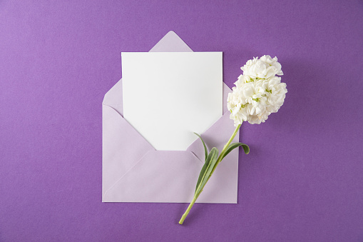 Flowers with purple envelope and greeting card on purple background