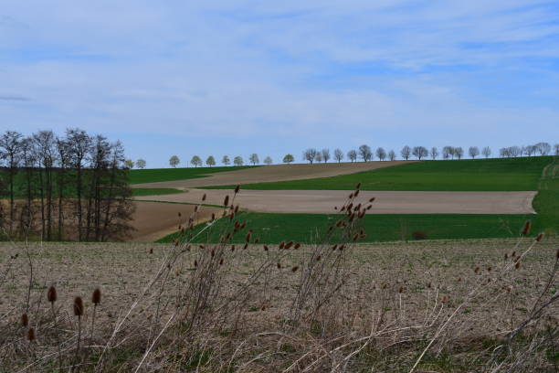 istock Beautiful landscape in Franconia 1391952842