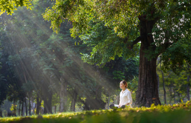 istock Woman relaxingly practicing meditation in the forest to attain happiness from inner peace wisdom with beam of sun light for healthy mind and soul concept 1391954071