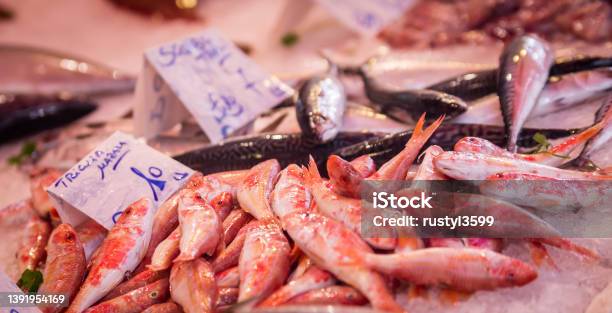 Fresh Fish At A Market Stock Photo - Download Image Now - Palermo - Sicily, Catch of Fish, Color Image