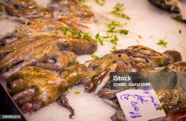 Fresh Octopus At A Market Stock Photo - Download Image Now - Calamari, Cold Temperature, Color Image