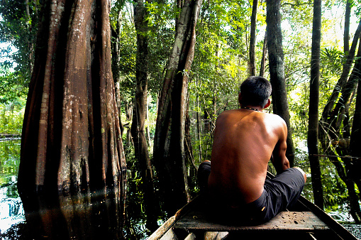 Indigenous young man, caboclo of Pará, riding a wooden canoe into the wet amazon forest in Brazil. March, 2005.