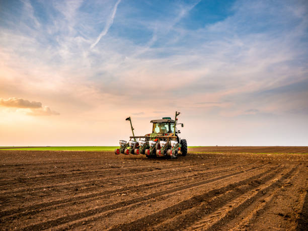 istock Tractor drilling seeding crops at farm field. 1391958738