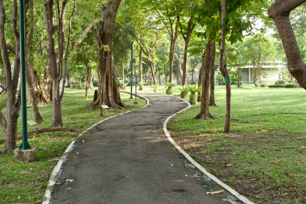 istock Benjakitti Park in Bangkok 1391959186