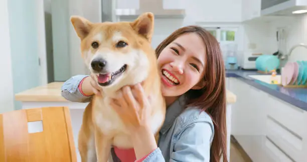girl is sitting in the kitchen hugging her dog and smiling at you