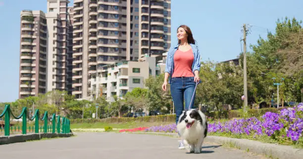happy asian woman smiling walking with dog on a leash in the park near buildings