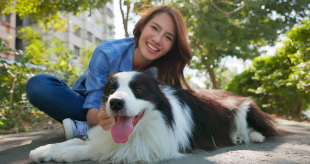 istock woman touching dog in park 1391961677