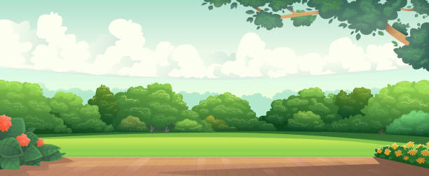 widok na podwórko domu z polaną i drzewami. panorama tarasu, krajobraz ogrodowy z kwiatami - backyard stock illustrations
