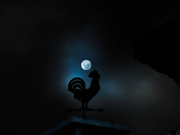 istock Rooster weather vane 1391962240