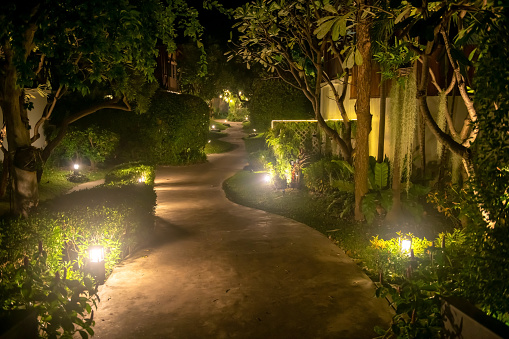 footpath alley with lamp decoration by trees in the park at night. Exterior design in garden